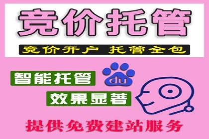SEM外包公司案例：助力企业拓展海外市场